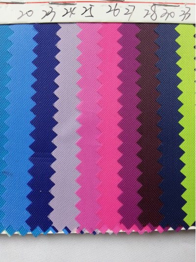 DG-BICG BC-2101 PL   背囊面料 細節-1